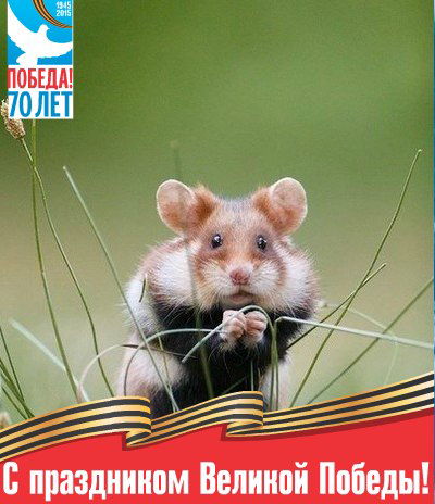 Наталья Фунтик