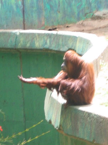 Костя Журавушкин