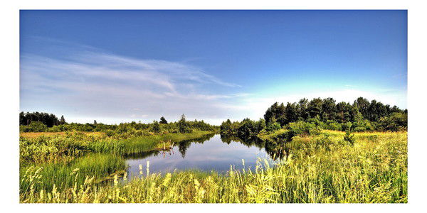 Олег Сорокин