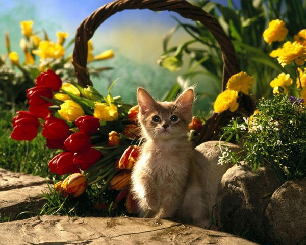 Сандугаш Калабаева