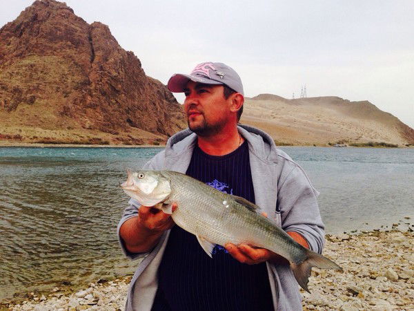 Леонид Николаев