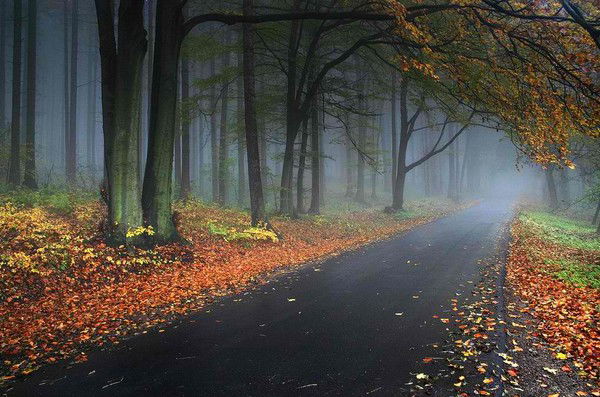 Сергей Верзаков