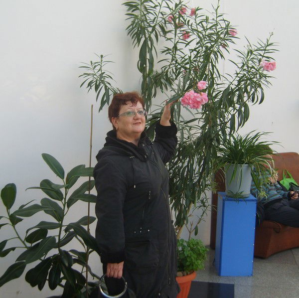 Наталья Писарева