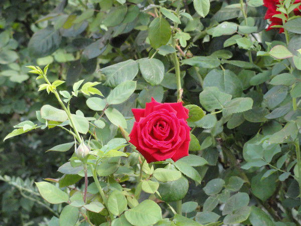 Татьяна Попова