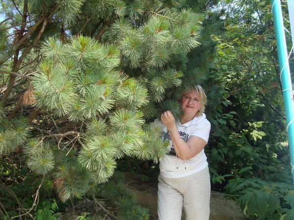 Людмила Фадеева