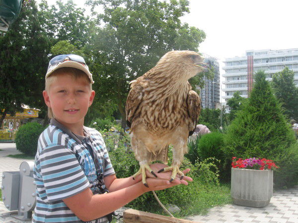 Павел Левшиц