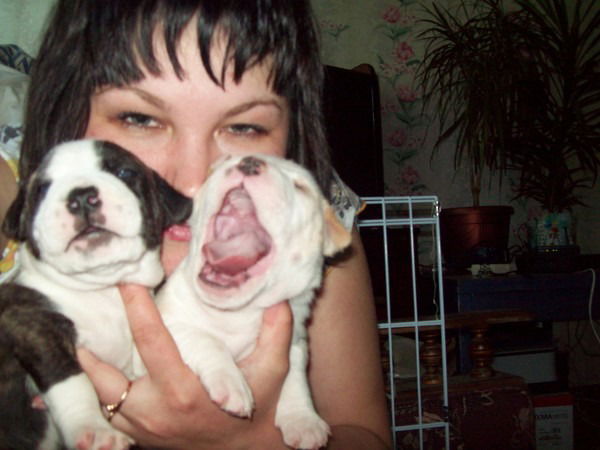 Любовь Шелест