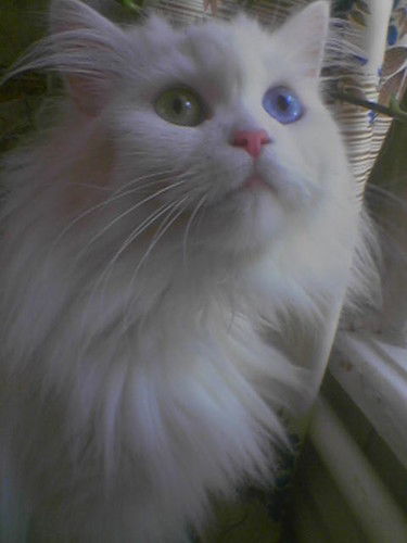 Юрий Резнюк