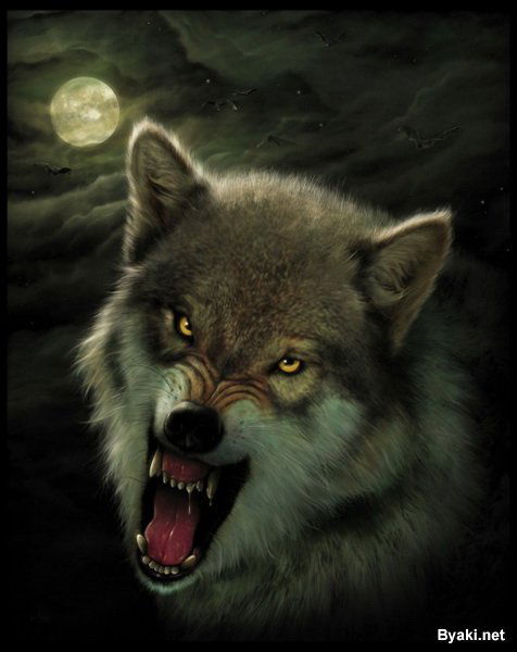 Александр Бердюгин