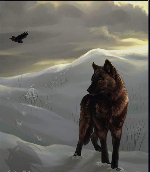 Никита Лисаконов