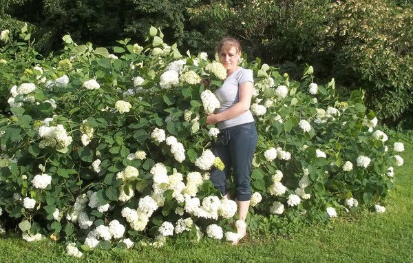 Татьяна Королева