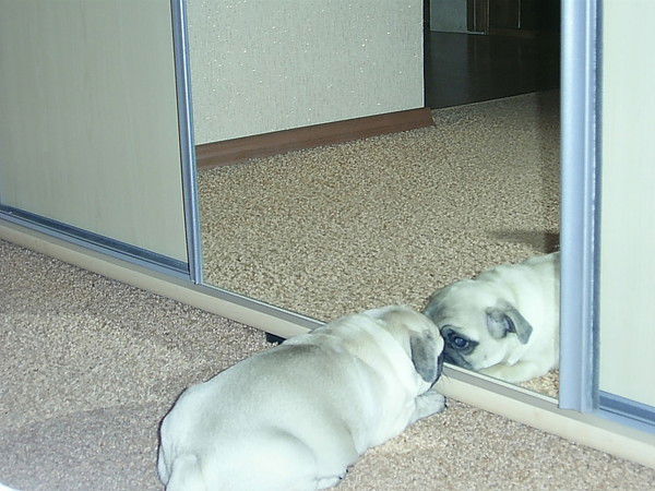 Александр Корепанов