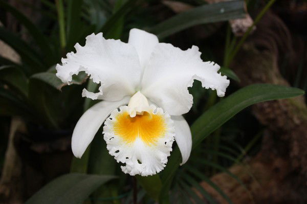 Светлана Акимова