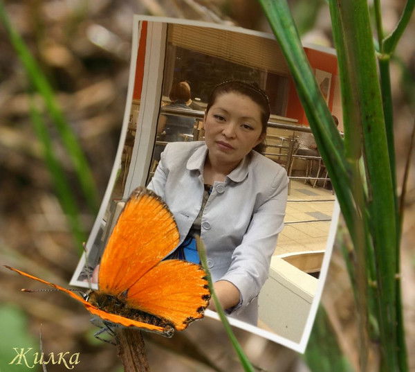 Жылдыз Сырбаева