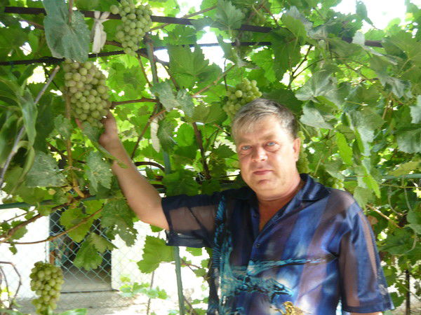 Александр Шпигальский