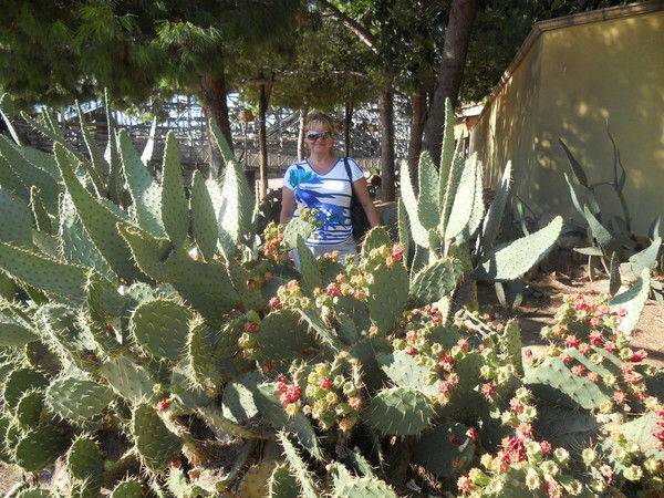 Елена Тюрпеко