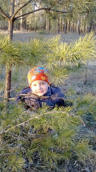 Андрей Анискин