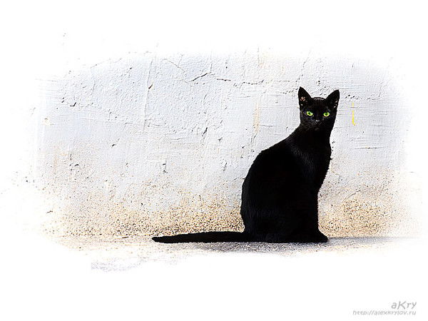 Oльга Бусыгина