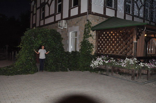 Ольга Ломтева