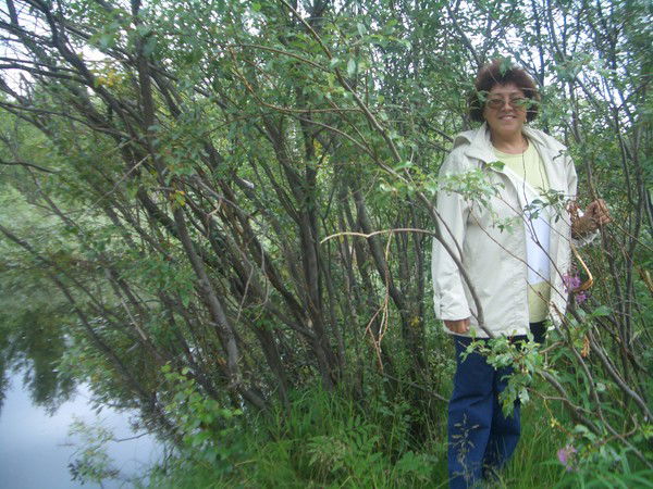 Елена Казакова