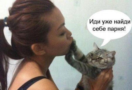 Красивые Статусы