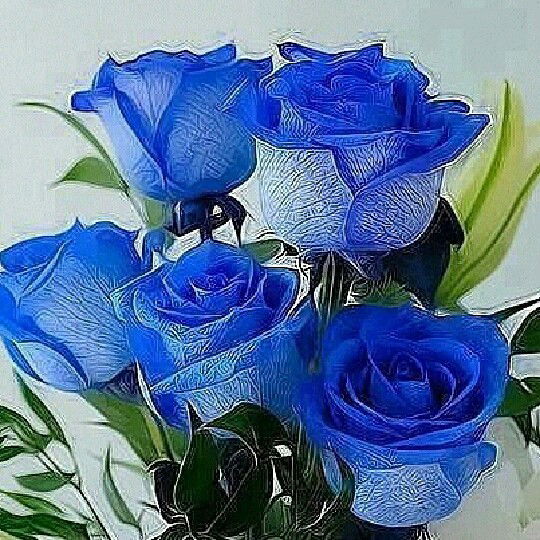 Ирина Дадонова(Евсеева)