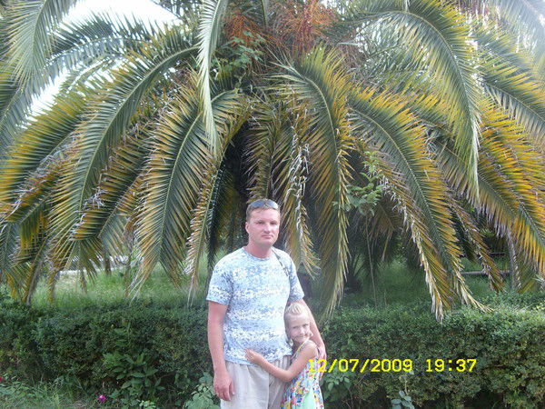 Александр Шредер