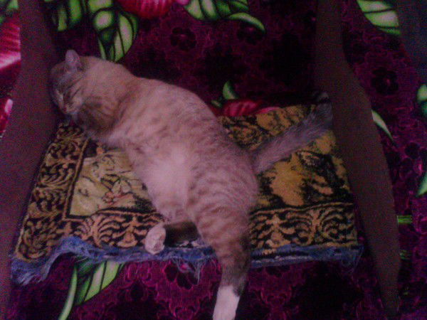 Соловьев Андрей