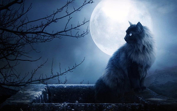 Оля Отрощенко