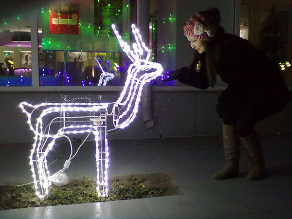 Эльвира Ибатуллиева