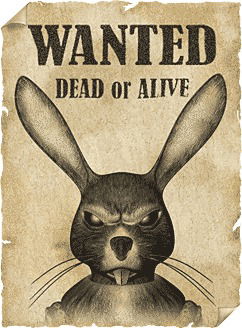 Руслан Минигулов