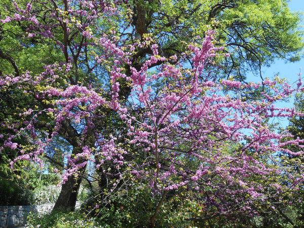 Галина Галина