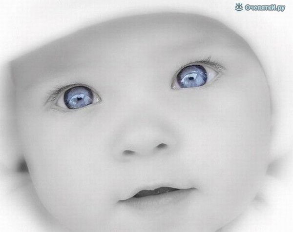 Маша Анипко