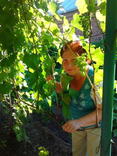 Галина Дмитриевна Малярчук(Порисенкова)