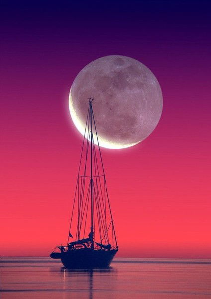 Айдос Сулейменов