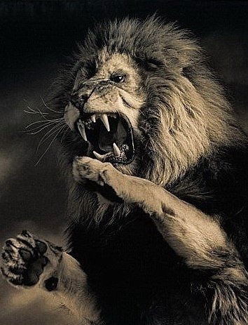 Нурмахан Нуралы