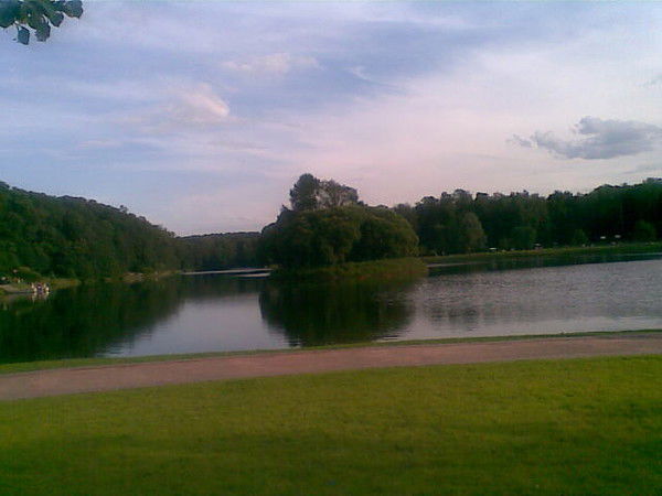 Константин Старшинов