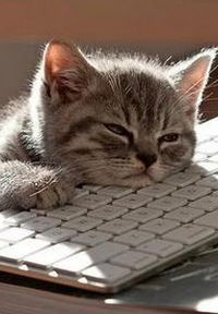 Лия Халиуллина