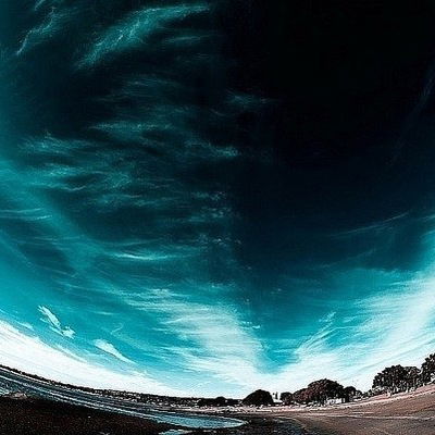 Диана Рыбина