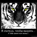 Незнакомка Я