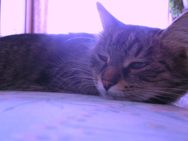 Светлана Бухтоярова