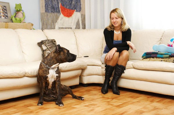 Ирина Чеплагова