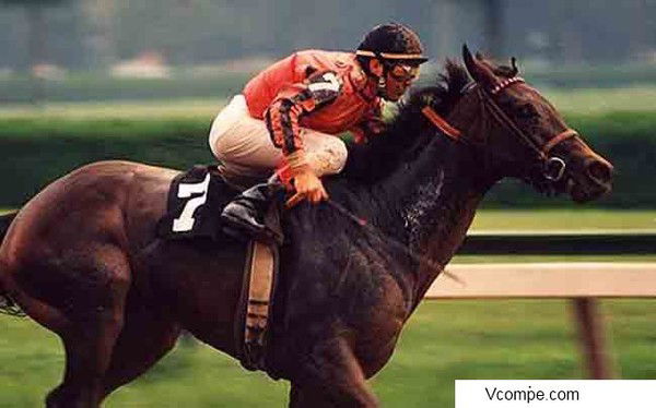 Никита Карасёв