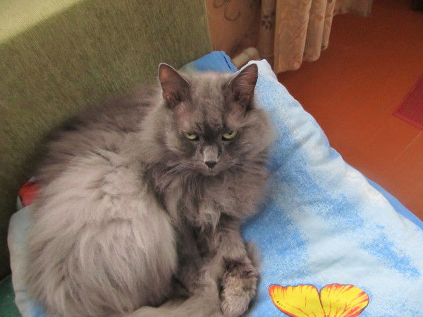 Куликова Светлана