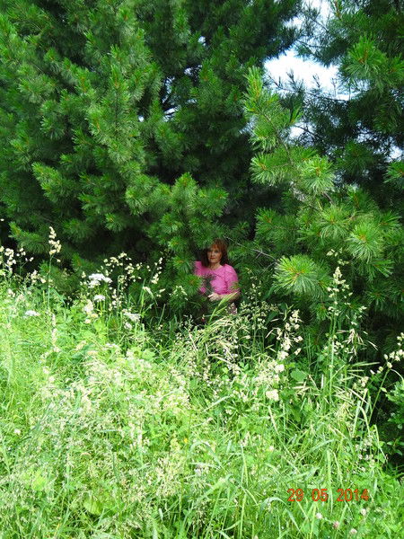 Тамара Полтарикова