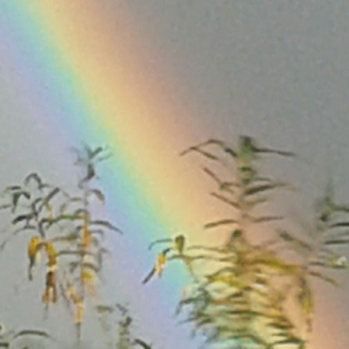 Марина Сафиулина