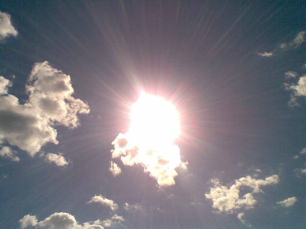 Елена Втюрина