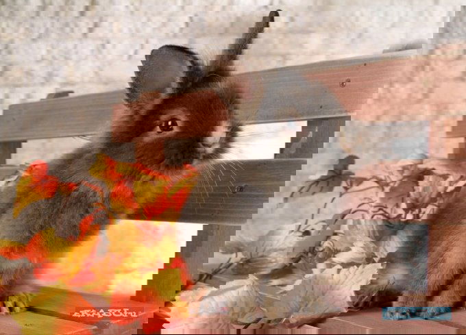 Юлия Сазонова