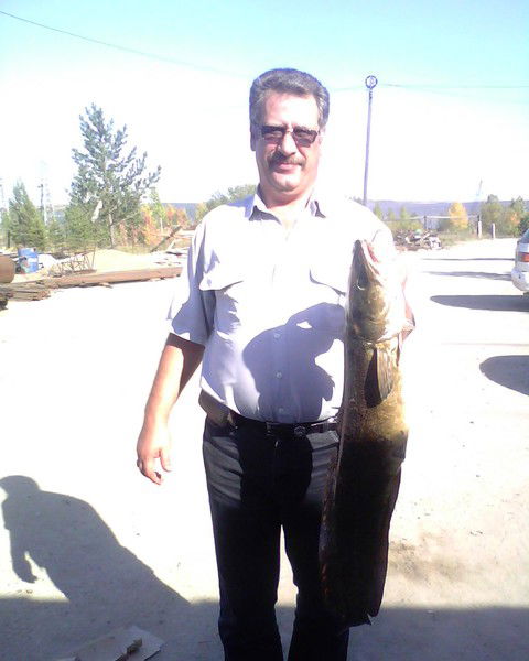 Николай Дубинин