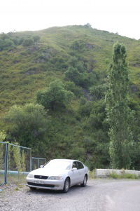 Ксения Андреевна